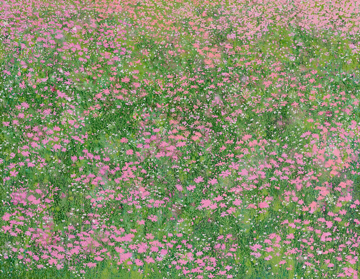 Pink flowers, 91 x 117cm, acrylic on canvas, 2023